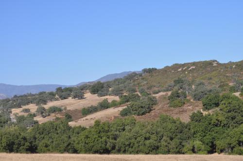 DSC_0510